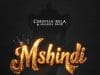 Christian Bella Ft Malaika Band – Mshindi